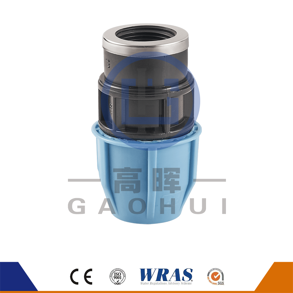 Carrera de cabeza redonda PP Femenina P-018