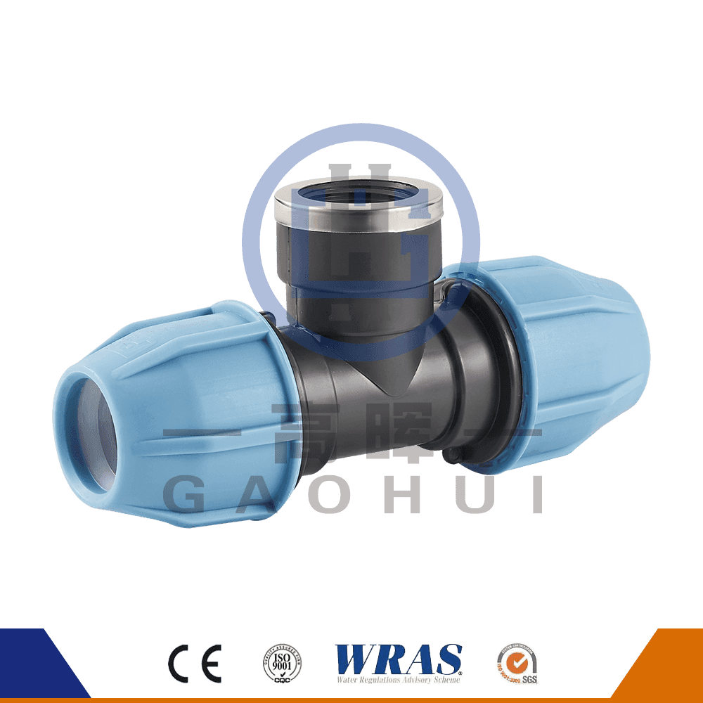 Cabeza redonda PP Femenina P-025